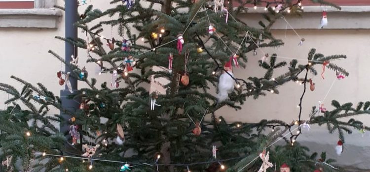 Ein Weihnachtsbaum für Rottenburg Ein Weihnachtsbaum für Rottenburg
