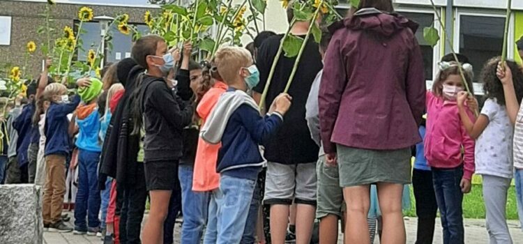 Am Mittwoch wurden die vierten Klassen von unseren Erstklässlern mit einem Blumengruß verabschiedet. Am Mittwoch wurden die vierten Klassen von unseren Erstklässlern mit einem Blumengruß verabschiedet.